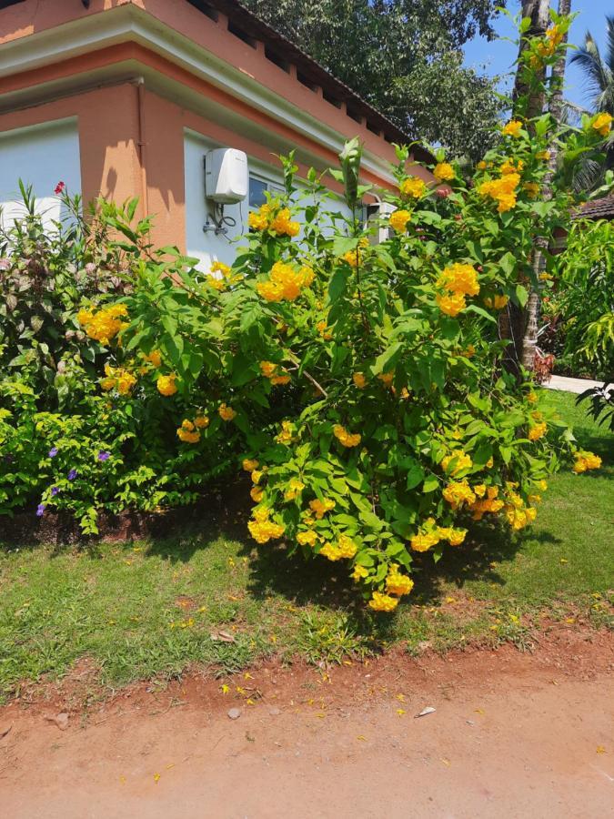Villa Sunflower Cavelossim Exteriör bild